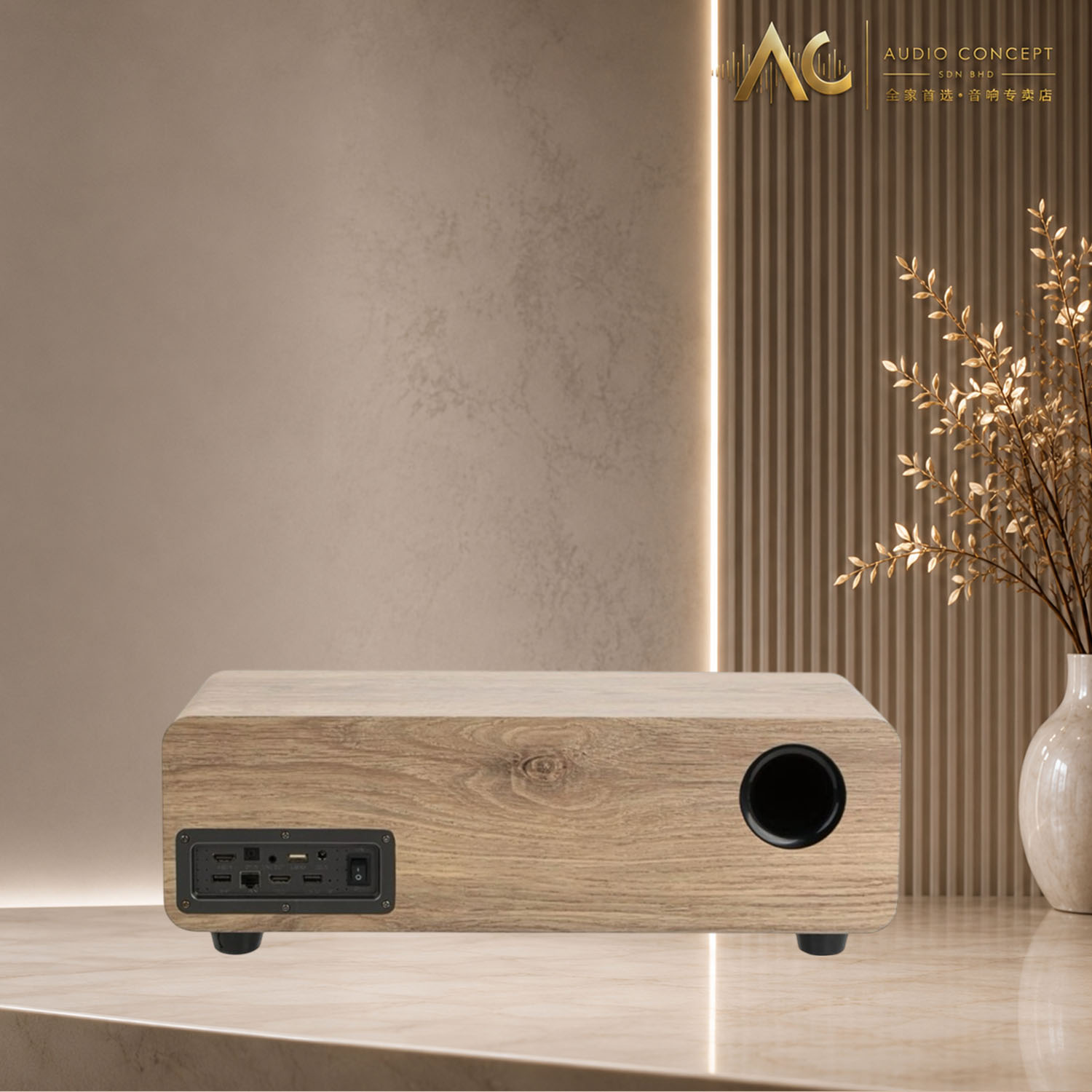 Jazpiper Max 2.1 Family Karaoke Soundbar(New) - Image 4
