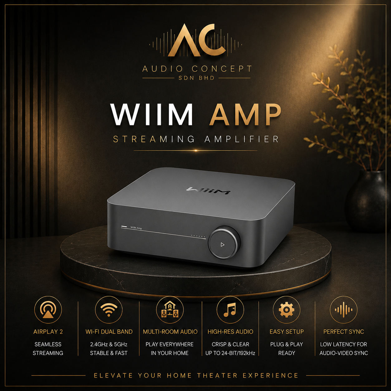 WIIM AMP Streaming Amplifier
