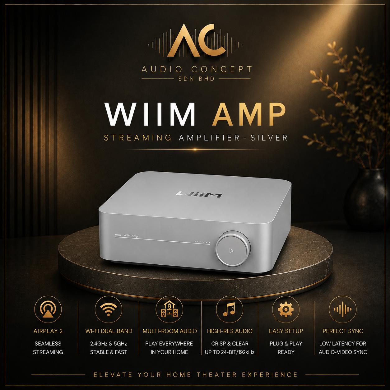 WIIM AMP Streaming Amplifier - Image 2