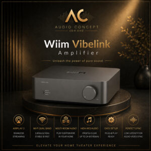Wiim Vibelink Amplifier