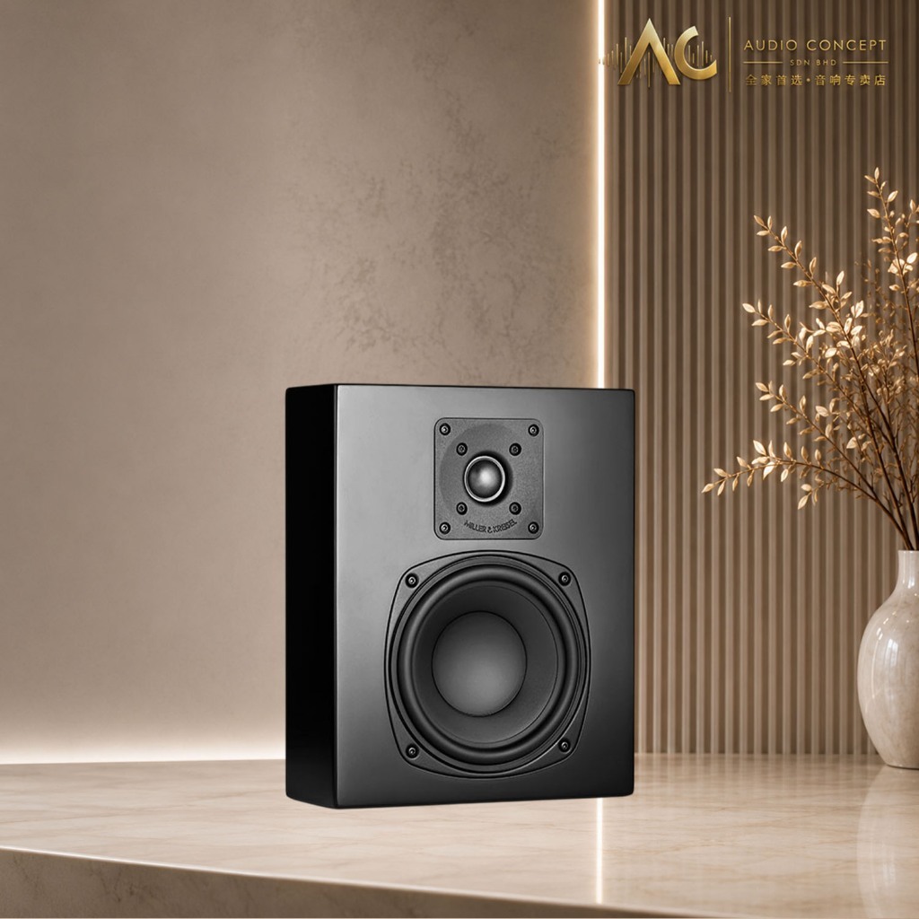 Miller & Kriesel D95 Slim High-Performance Loudspeaker - Image 3