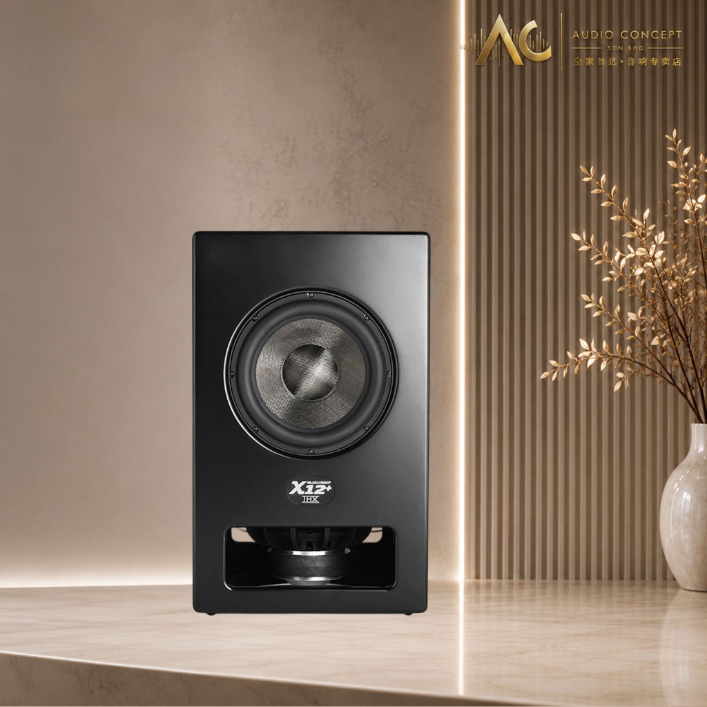 Miller & Kreisel X12+ Thx Certified Ultra Reference Subwoofer - Image 3