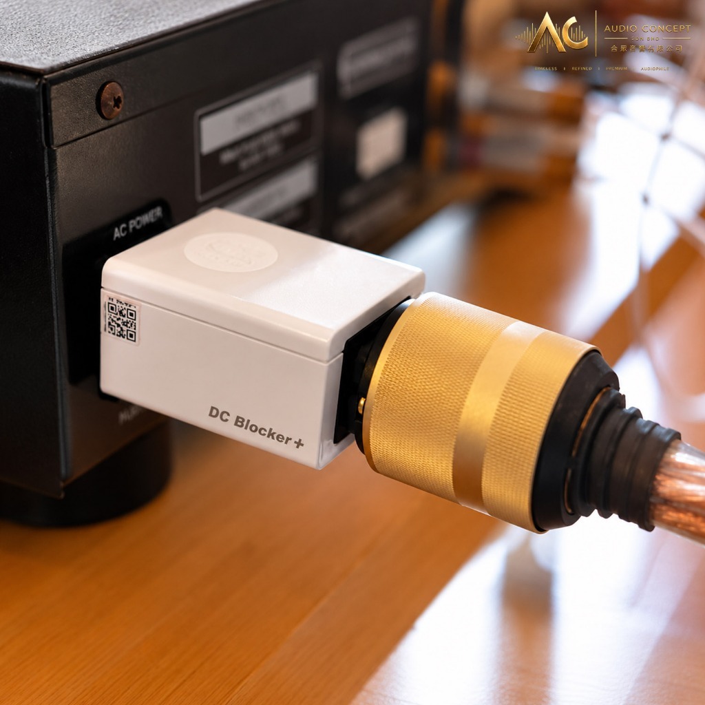 Silent Power DC Blocker+ High-Power DC Offset Blocker & Transformer Hum Fliminator - Image 6