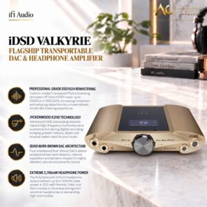 IFI Audio iDSD Valkyrie DAC (UK) Flagship Transportable DAC & Headphone Amplifier